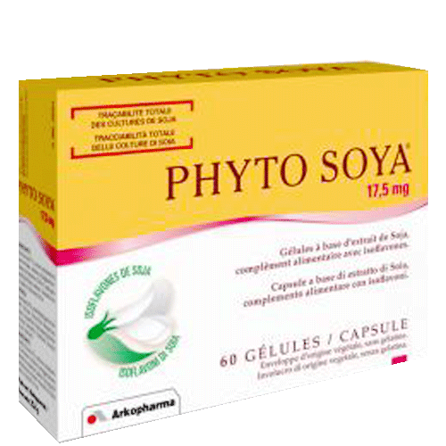 160_physo_toya